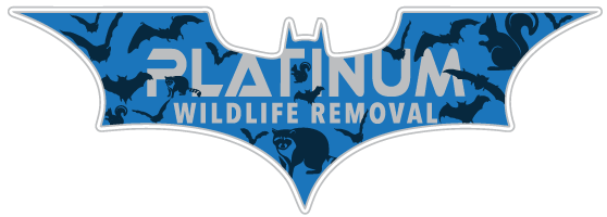 Granger Wildlife Control